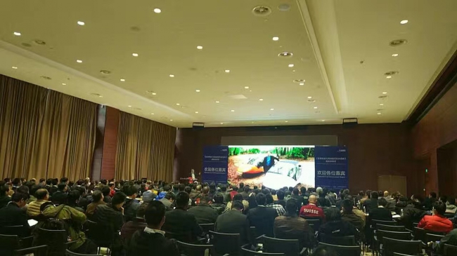 台湾大奶
